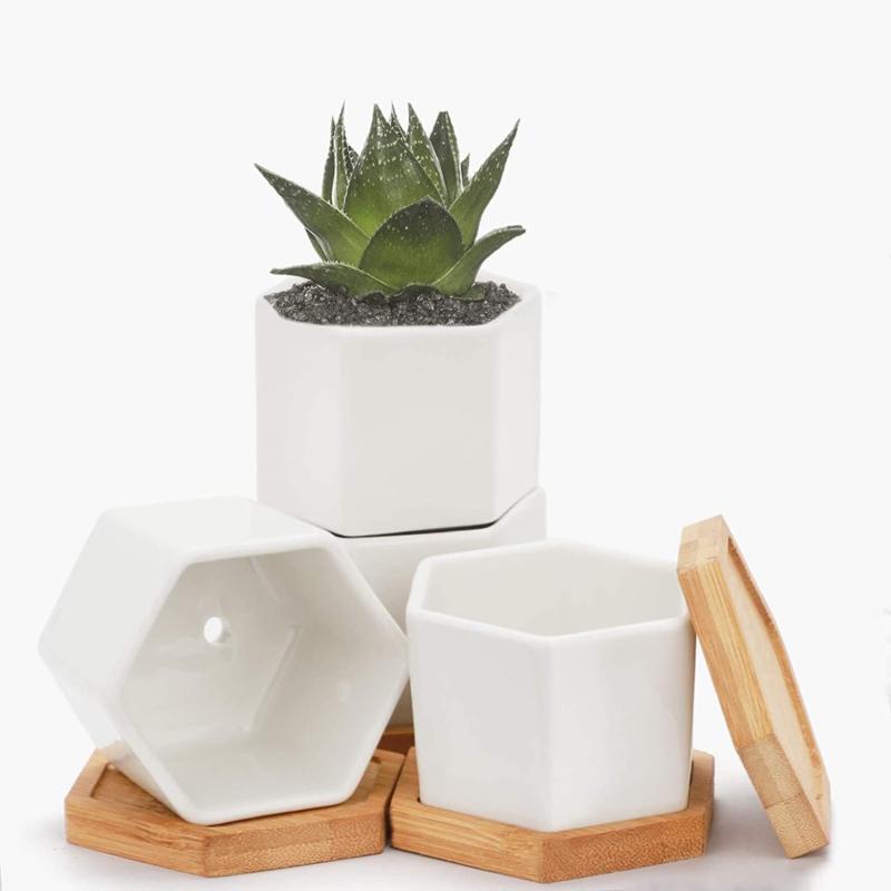 多肉植物鉢 六角形鉢 盆栽鉢 植木鉢 小品盆栽鉢 大品盆栽鉢 21345250_3.jpg