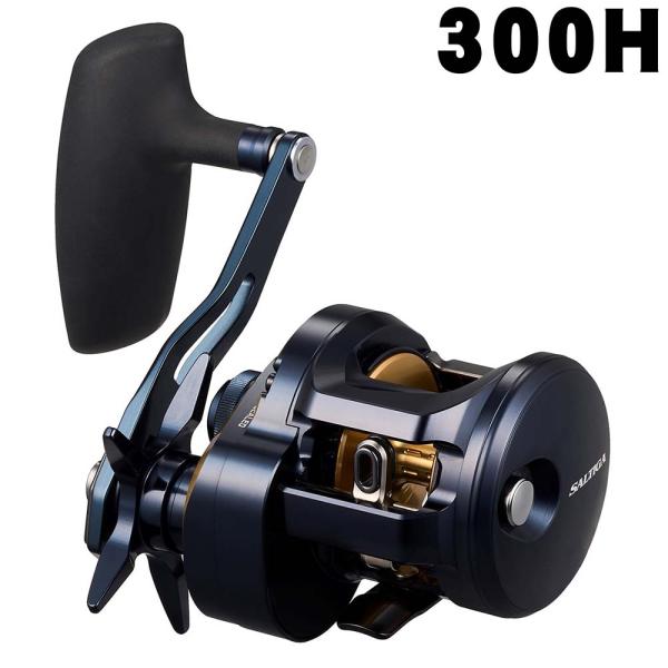 楽天市場】【エントリーでP10倍！】ダイワ リール 25ソルティガ