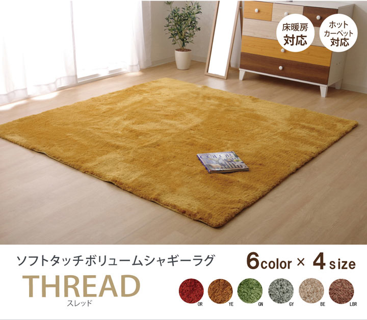 部屋の入り口引っ敷き特集