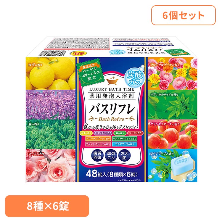 【6個セット】入浴剤 アソートセット 薬用 炭酸ガス 薬用発泡入浴剤 入浴剤 アソートセット 薬用 炭酸 発砲 炭酸湯 疲労回復 肩こり 冷え性 大容量 にゅうよくざい ライオンケミカル