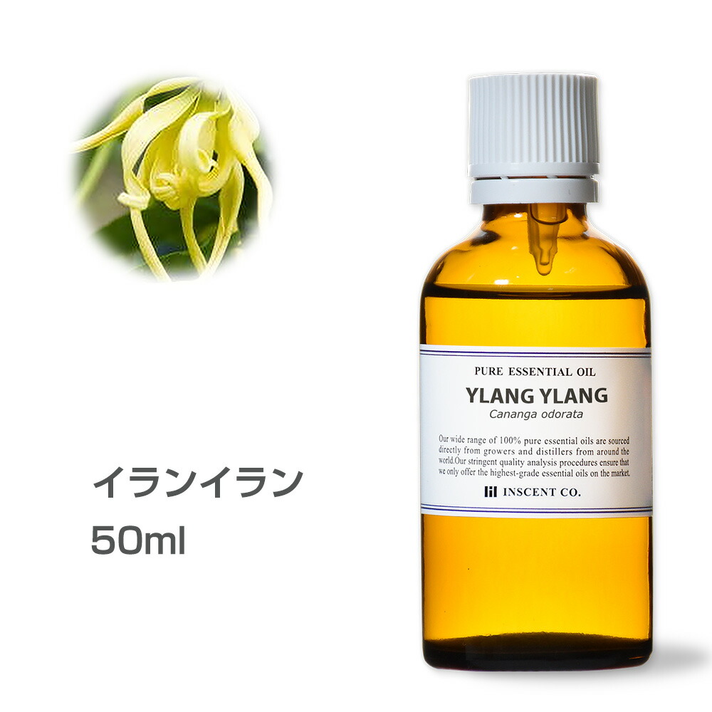 ペルシャイラン 50ml 単科大学力量 エッセンシャルオイルカラー パフューム 匂いオイル アロマ 逆旅セント Ist Barlo Com Br