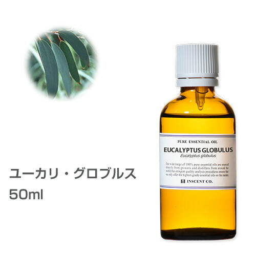 【楽天市場】ユーカリ・グロブルス 50ml 大容量 エッセンシャルオイル 精油 アロマオイル アロマ インセント【ist】：インセントオンラインショップ