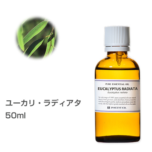 楽天市場 ユーカリ ラディアタ 50ml 大容量 エッセンシャルオイル 精油 アロマオイル アロマ インセント Ist インセントオンラインショップ