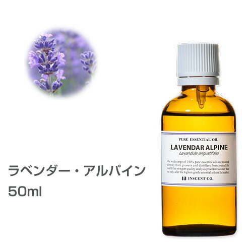 楽天市場 ラベンダー アルパイン 50ml 真正ラベンダー 大容量 エッセンシャルオイル 精油 アロマオイル アロマ インセント Ist インセントオンラインショップ