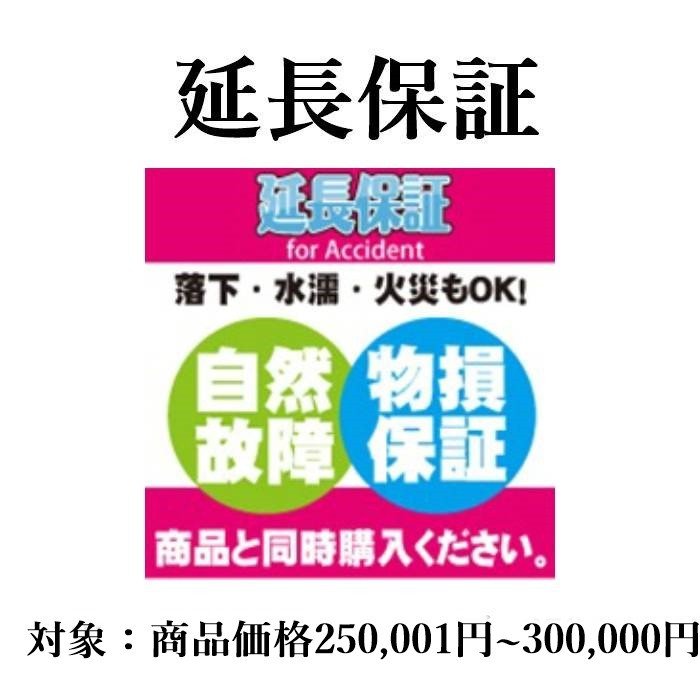 5年延長保証 自然故障 物損プラン 商品価格250,001円-300,000円