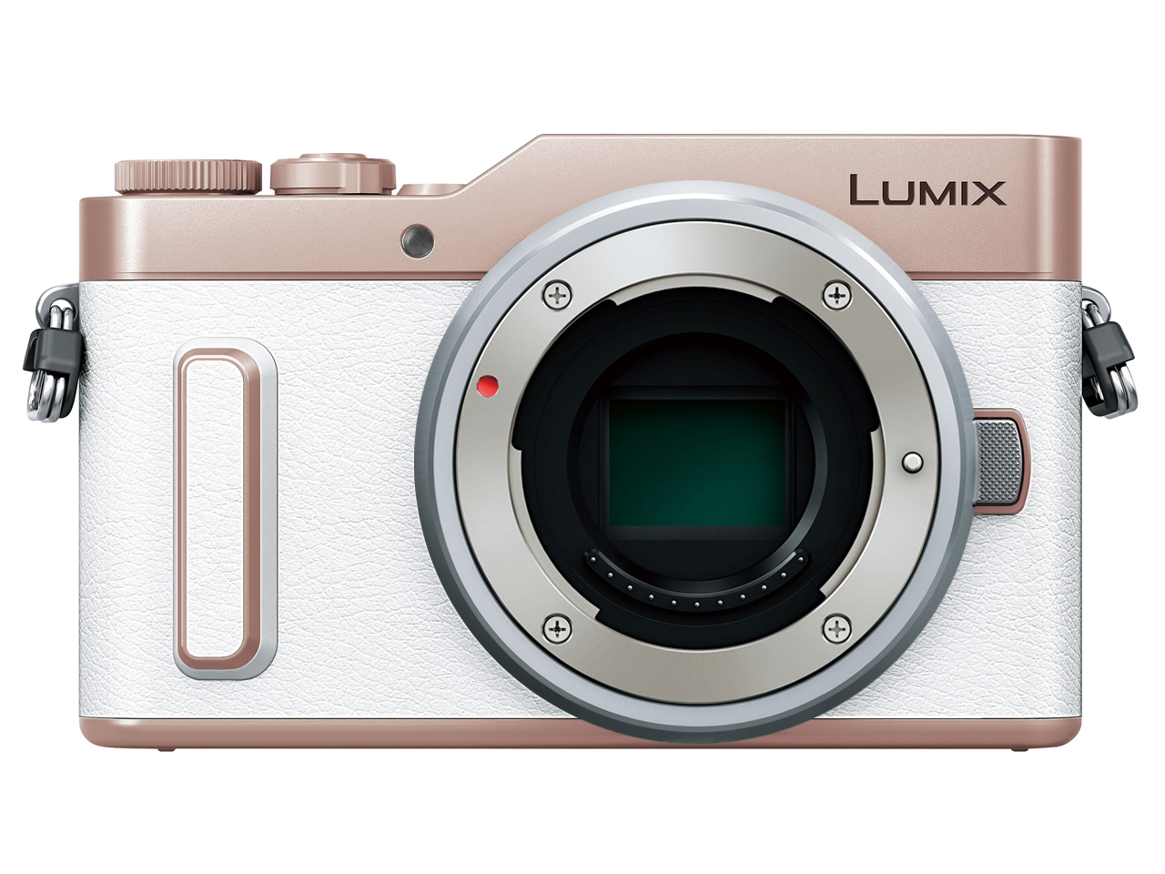 Panasonic LUMIX ミラーレス一眼カメラ シルバー G LUMIX VARIO H