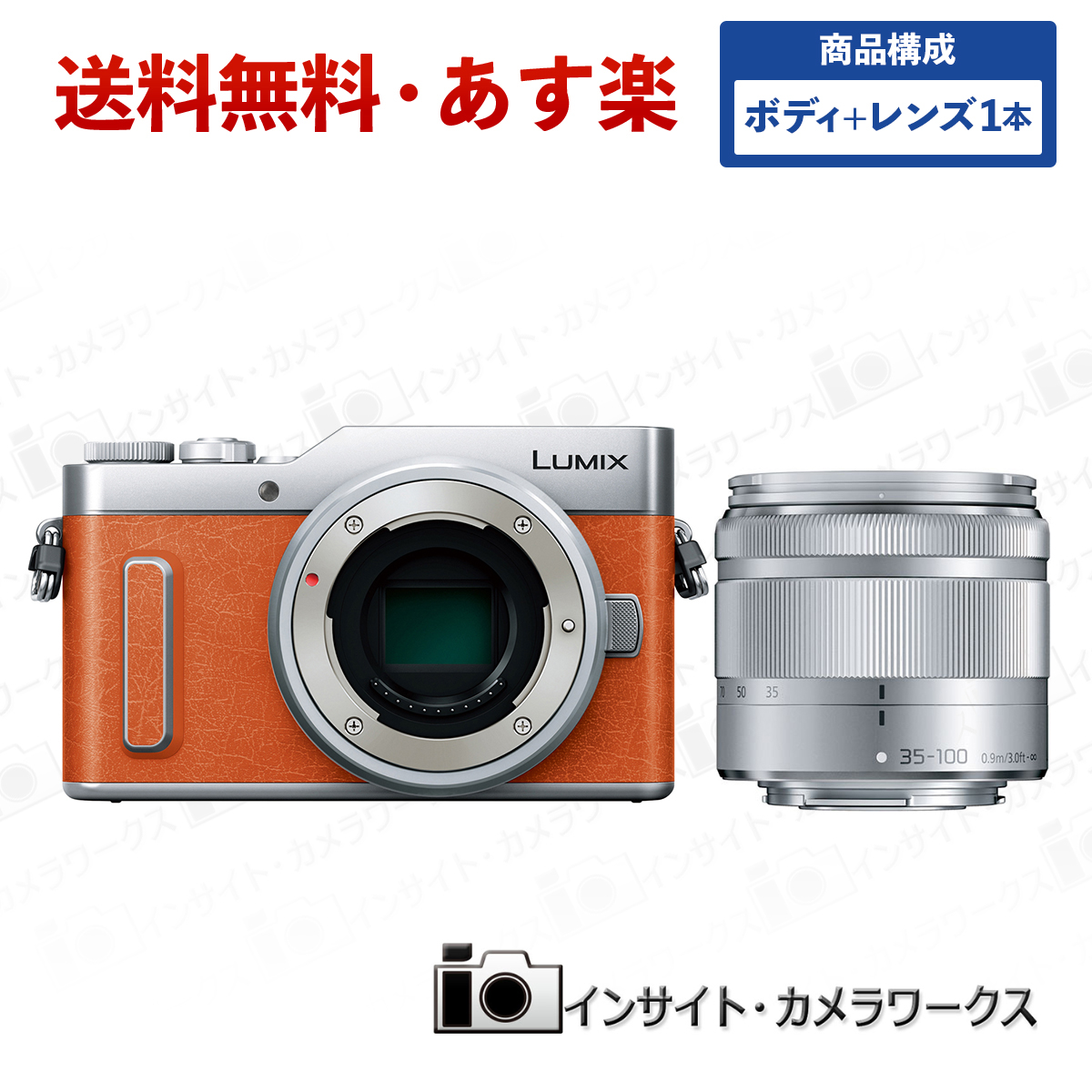 海外輸入】 Panasonic LUMIX ミラーレス一眼カメラ DC-GF90 DC-GF10