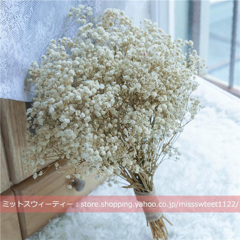 御芽出度胸花 かすみ草 成年者式 御芽出度 プリザーブドフラワー 素っ気ないお花 御芽出度 お嫁さん 交歓会 御芽出度胸花 カスミソウ 前撮り 森御嬢さん 父の日