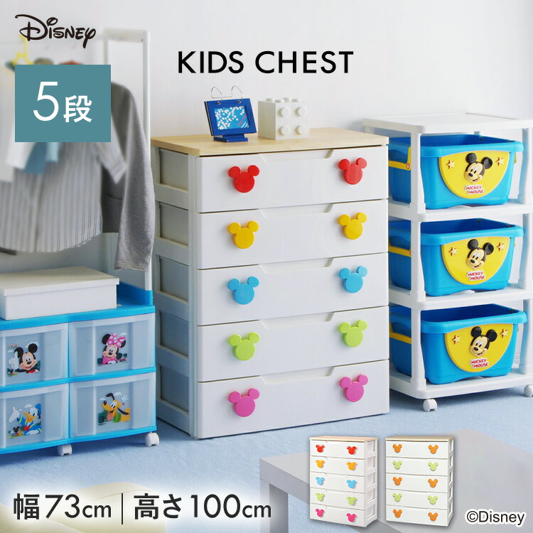 アイリスオーヤマ収納ケース IRIS OHYAMA 収納ボックス 衣装ケース 収納ケース ベッド下