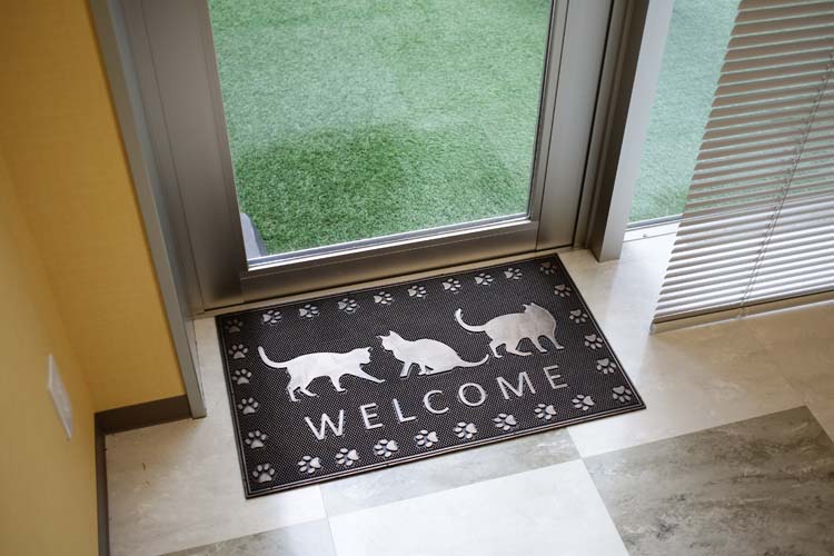 Inskagu Doormat Entrance Singularity Trade Cat Dog Footprint Dog
