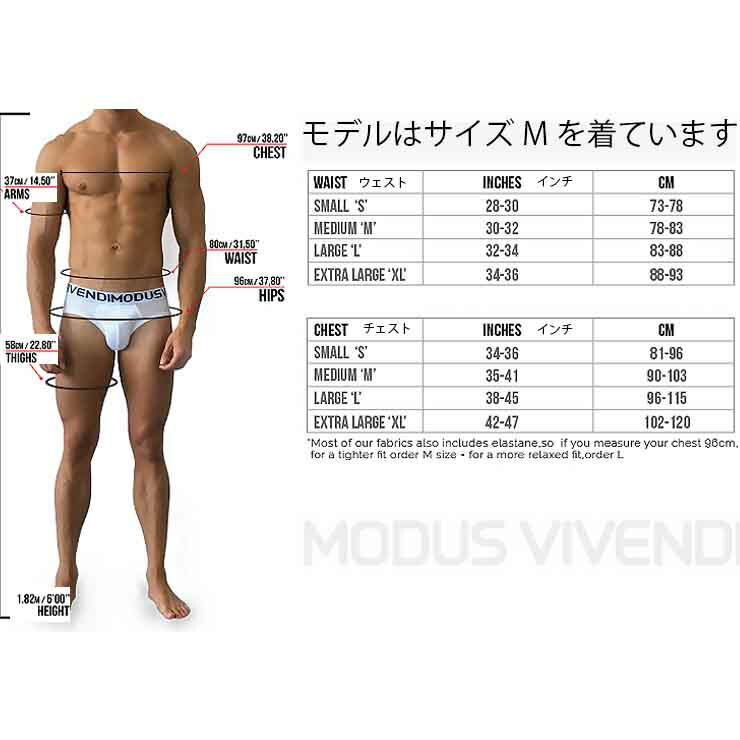 MODUSVIVENDI/SECRETPLEATTANGAファッション男性インナー高級綿スポーツエンドウストレッチセクシーメンズブリーフ