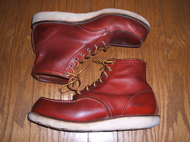 REDWING - RED WING 8875 アイリッシュセッター 四角犬タグ ２８CMの+