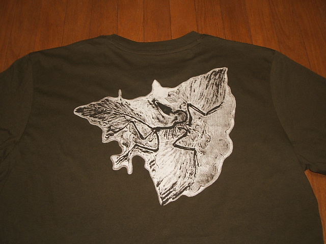 【楽天市場】ARC'TERYX(アークテリクス) Tシャツ(Bird Art SS T-Shirts Men's) Utility Green