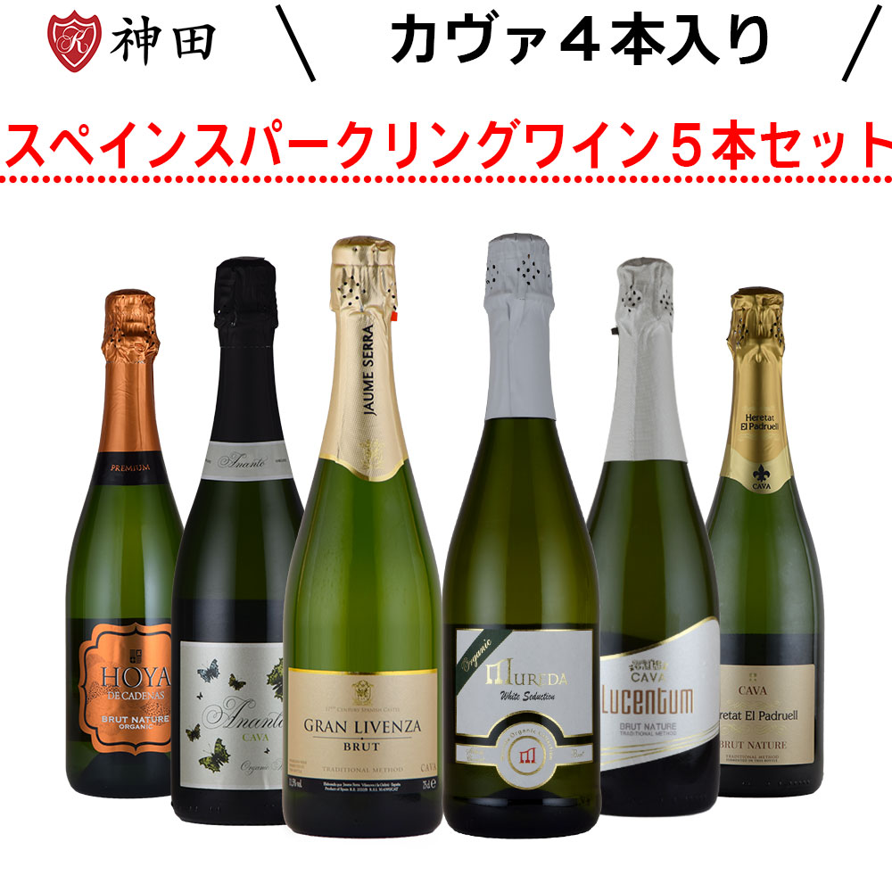 スペインスパークリング飲み比べ６本セット 送料無料 母の日