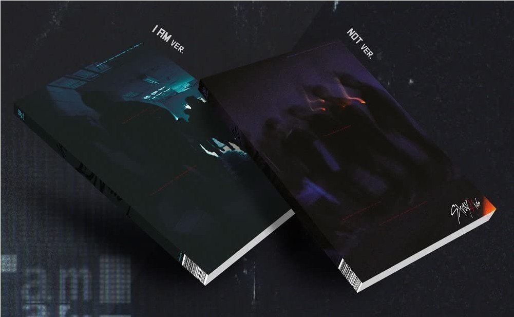 楽天市場】Stray Kids - IN生 1ST ALBUM REPACKAGE : IN LIFE リ