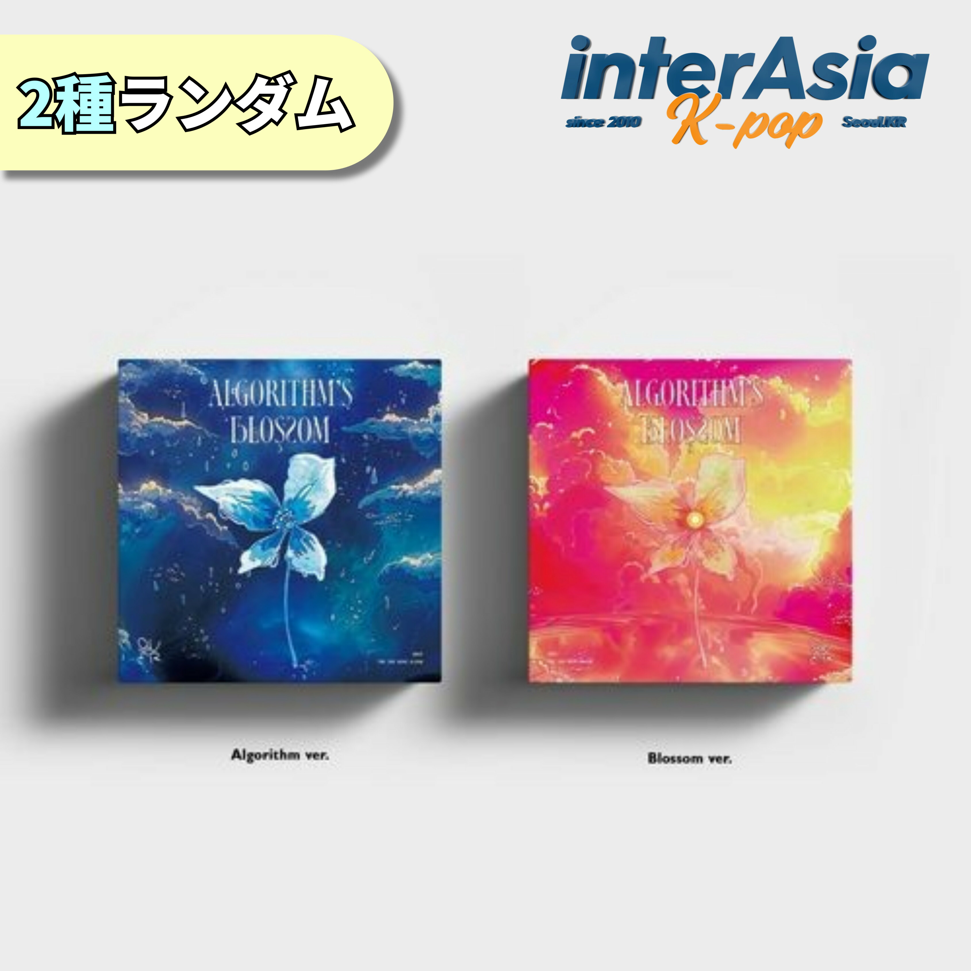 楽天市場】☆Weverse特典☆2種セット☆ QWER - 2nd Mini Album