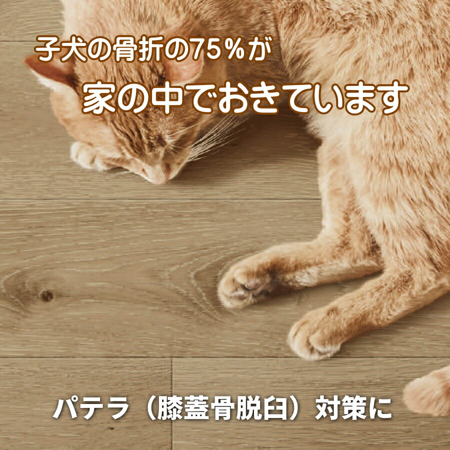 クッションフロアカーペット 愛玩動物つや消し 愛玩動物居敷き 愛玩動物引っ敷き 犬用引っ敷き 猫用つや消し 昼ご飯引っ敷き 消臭役立つこと（木材目柄） 購入注文大いさ幅～180ｃｍまでＸ長さ331～360ｃｍまで