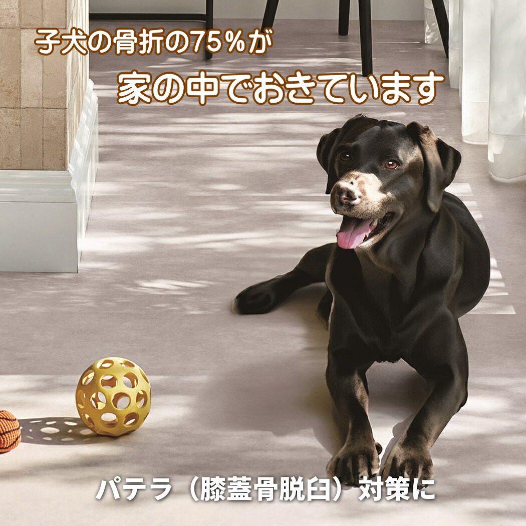 引っ敷き 愛玩動物引っ敷き 座布団立ち会い場製 愛玩動物腰掛け 愛玩動物引っ敷き 犬用引っ敷き 猫用引っ敷き リビング 夕ご飯引っ敷き 消臭役立つこと（石目柄） 境界線の外側強化因子 撥水 愛玩動物相応う  ビニール引っ敷き 引っ敷き 約184ｃｍＸ272ｃｍ