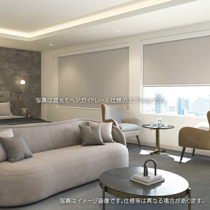 タチカワブラインド ロールスクリーン ロールカーテン ラルク 防炎  遮光1級 アネシス遮光 RS1504～1506 幅25～49cmＸ丈81～120cmまで（シールドなし）