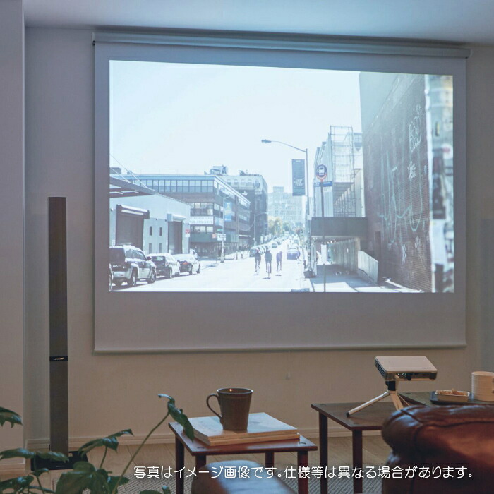 タチカワブラインド ロールスクリーン ロールカーテン ラルク 防炎  遮光1級 映写機映写幕 公明正大2 RS1526 幅200.5～250cmＸ丈30～49糎まで（遮蔽物なし）
