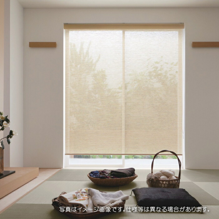 タチカワブラインド ロールスクリーン ロールカーテン ラルク 防炎 すだれ調 パーユ RS1653～1654 幅270.5～300cmＸ丈30～49糎まで（遮蔽物なし）