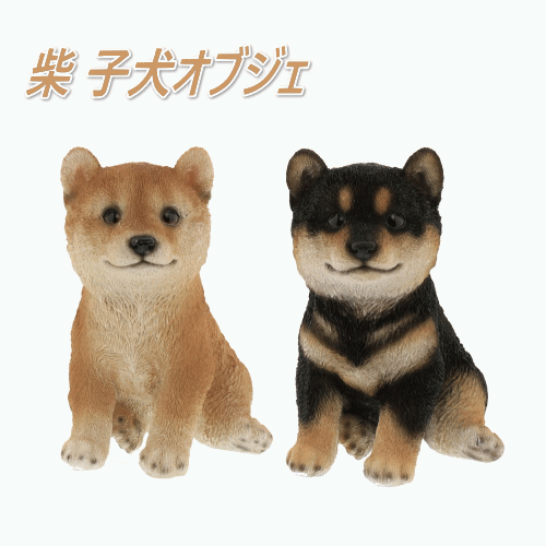 楽天市場】犬 グッズ 置物 子犬 コロコロ子シバ [赤柴 黒柴] [QY039