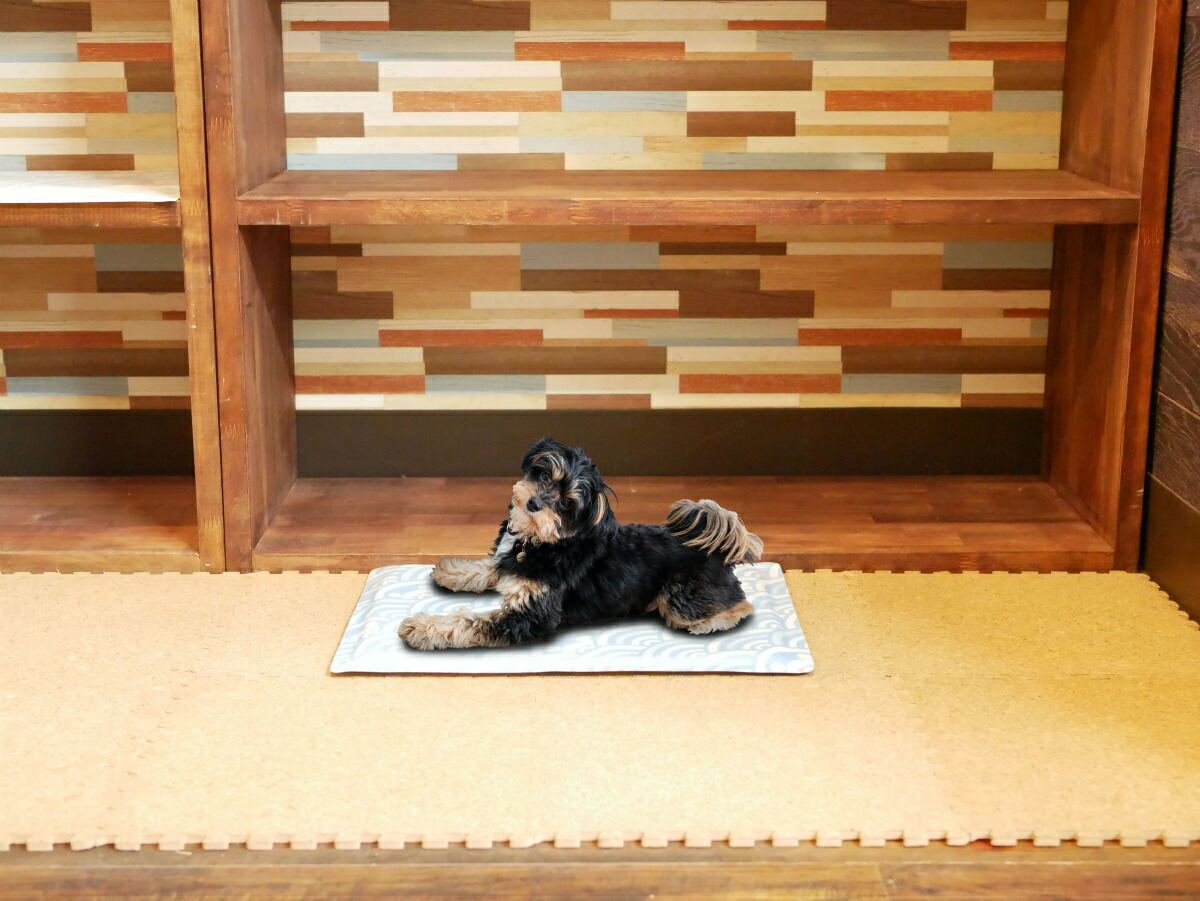 楽天市場 最大5 Offクーポン 期間限定 ペットマット 涼感アルミジェルマット Mサイズ 冷蔵庫ok ひんやり 30cm 40cm 厚さ1cm Marukan マルカン Cool 冷感マット 犬用マット 猫用マット 小型犬 犬 老犬 猫 冷感 おしゃれ かわいい ペットシート クール Interiorshop Cozy