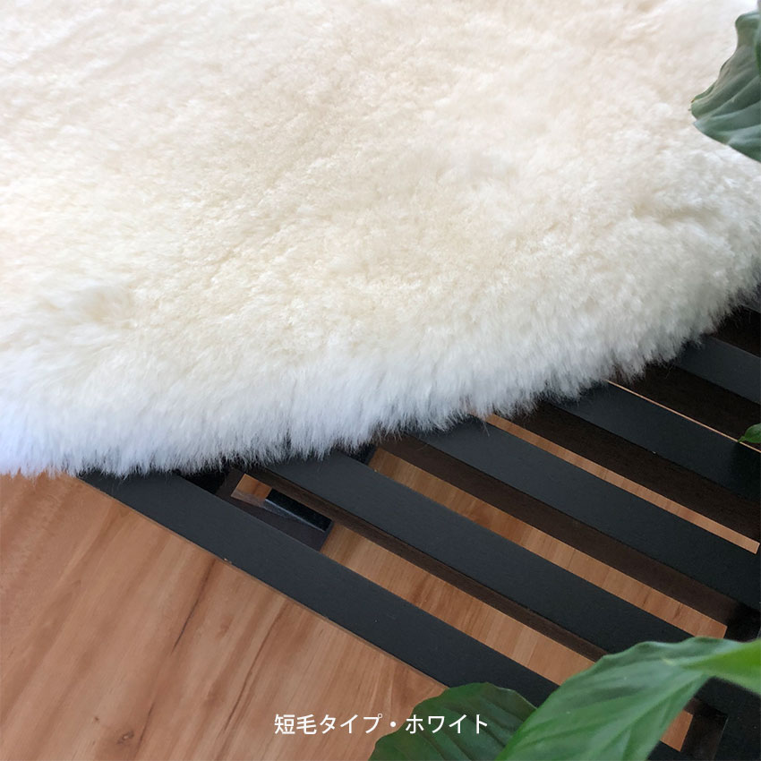 人気の福袋 2021春大特価セール！ 新品、未使用 ニュージーランド産