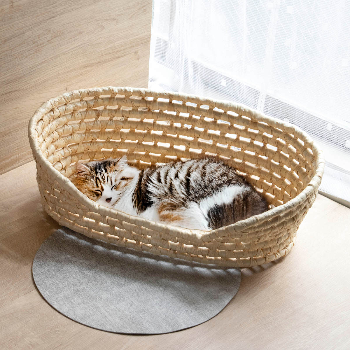 楽天市場】ペットベッド メイズ メモリアルペットバスケット L 葬儀