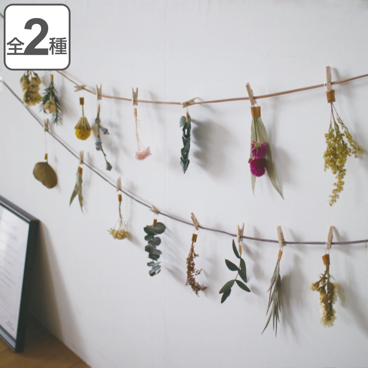 ドライフラワー Garland Botanical ガーランド 壁掛け 花 インテリア おしゃれ ギフト 贈り物 プレゼント 壁 壁飾り 飾り 玄関 インテリア雑貨 ウォールデコ ディスプレイ 誕生日 母の日 記念日 お祝い 雑貨 高級感