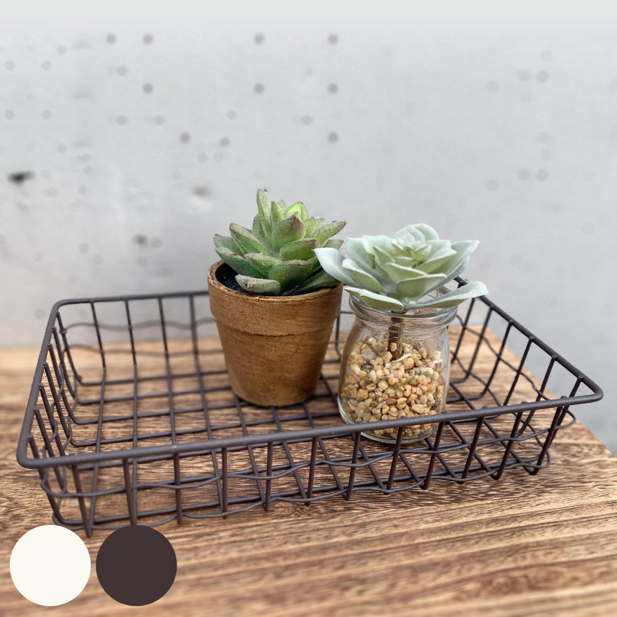 楽天市場】ペーパートレー ワイヤートレー バスケット 収納 雑貨