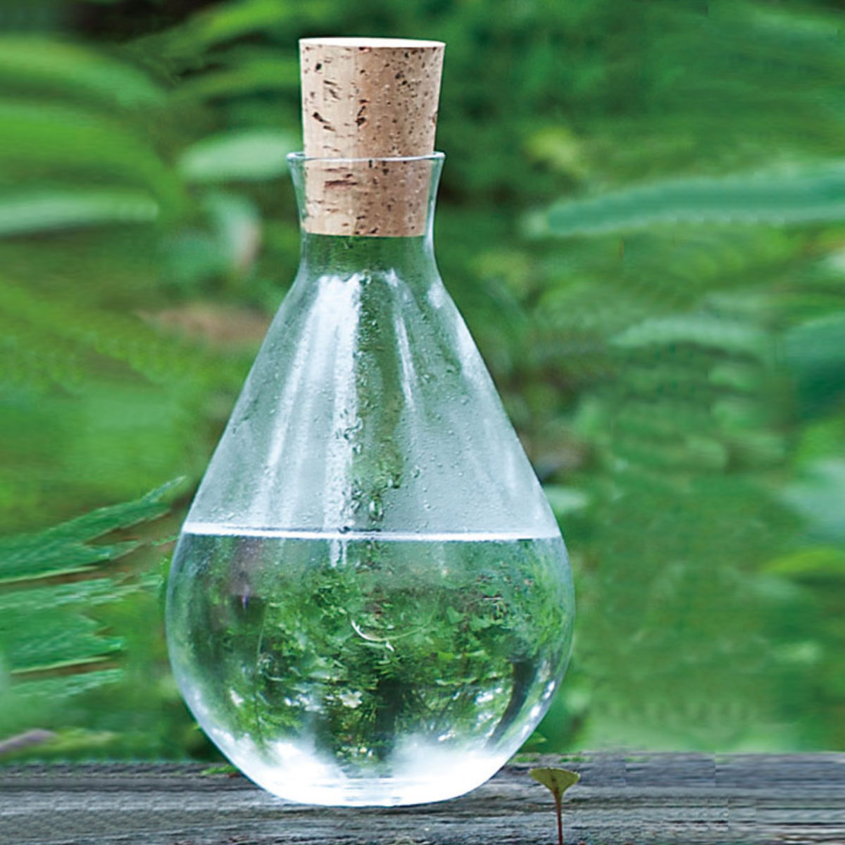 ガラス水差し　花瓶 楽天市場】【2種クーポン】最大5,000円OFF｜ガラスピッチャー 花瓶