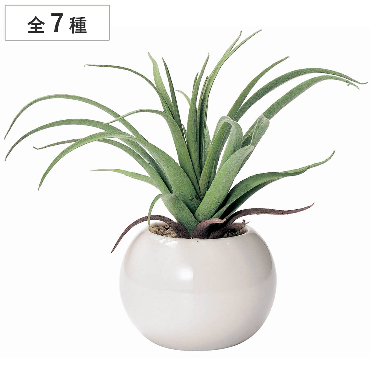 楽天市場】フェイクグリーン ラウンドポットL 卓上 （ 人工観葉植物