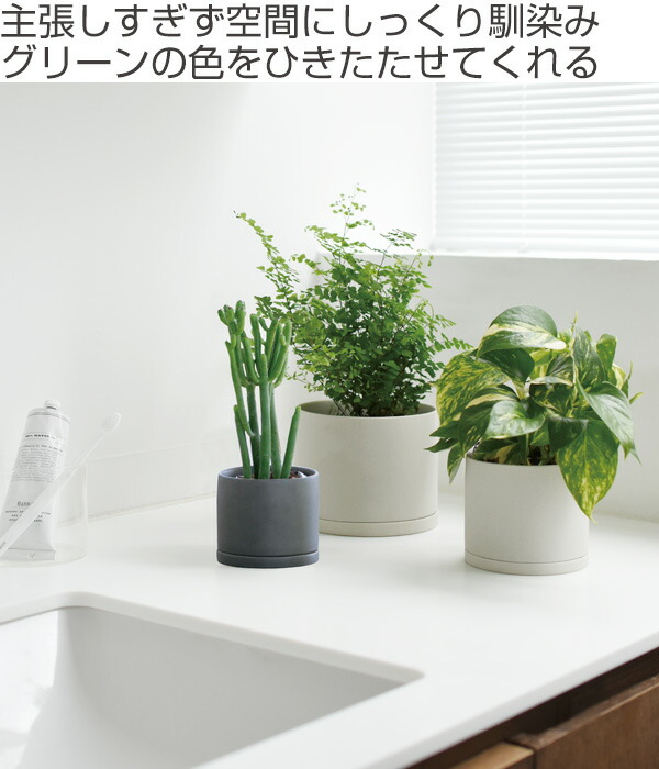 プランター 工業プラントポット キントー Kinto 8 5cm 植木花ポット 鉢植え フラワーポット 園庭ポット 瀟洒 全盛 翠緑 植木 鉢 ポット 水抜きぼろアテンダント 受け皿 植物 39商店 Hotjobsafrica Org