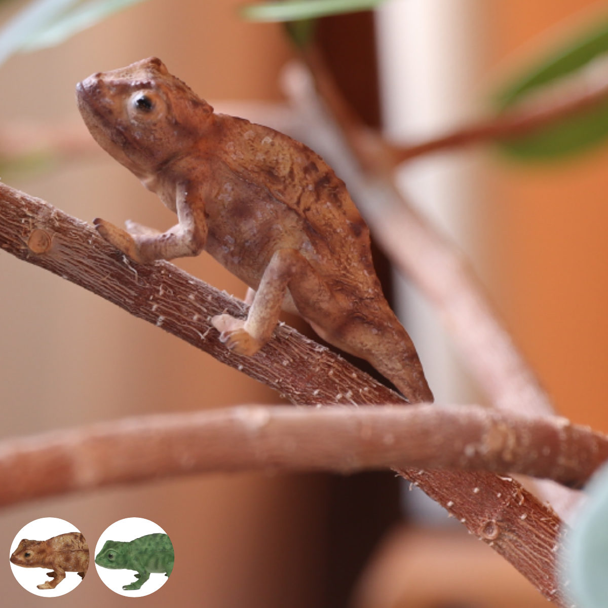 リヤドロ　カメレオン　フィギュリン　陶器置物　爬虫類 リヤドロ LLADRO カメレオン フィギュリン 陶器置物 爬虫類