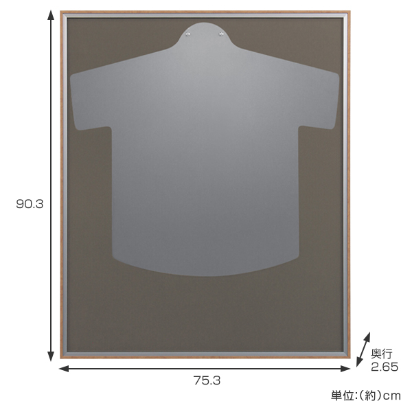 ユニフォーム額 Tv台 L123 デスク グレー Mサイズ ラグ 送料無料 ユニフォーム 額縁 額 ハンガー付き コレクション ディスプレー ユニフォームケース ケース フレーム Tシャツ 飾る 額装 インテリア 壁掛け シンプル 5000円以上送料無料 インテリアパレット