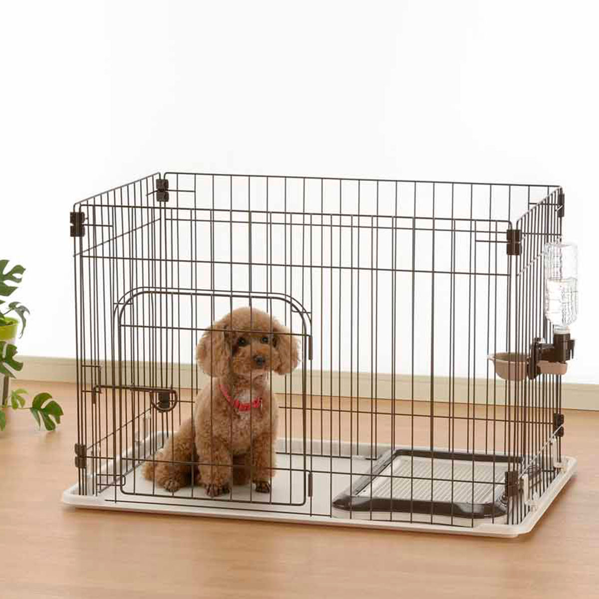 愛玩動物倶楽部 カスタムペットサークル 4面 入り口・入口付 86.5×53.5×60糎 （ 臥せ篭 愛玩動物臥せ篭 ドッグサークル 愛玩動物用 リッチェル 愛玩動物駒寄せ 犬 倶楽部 愛玩動物装具 幅86糎 超小型犬 小型犬用 ）【39販売店】