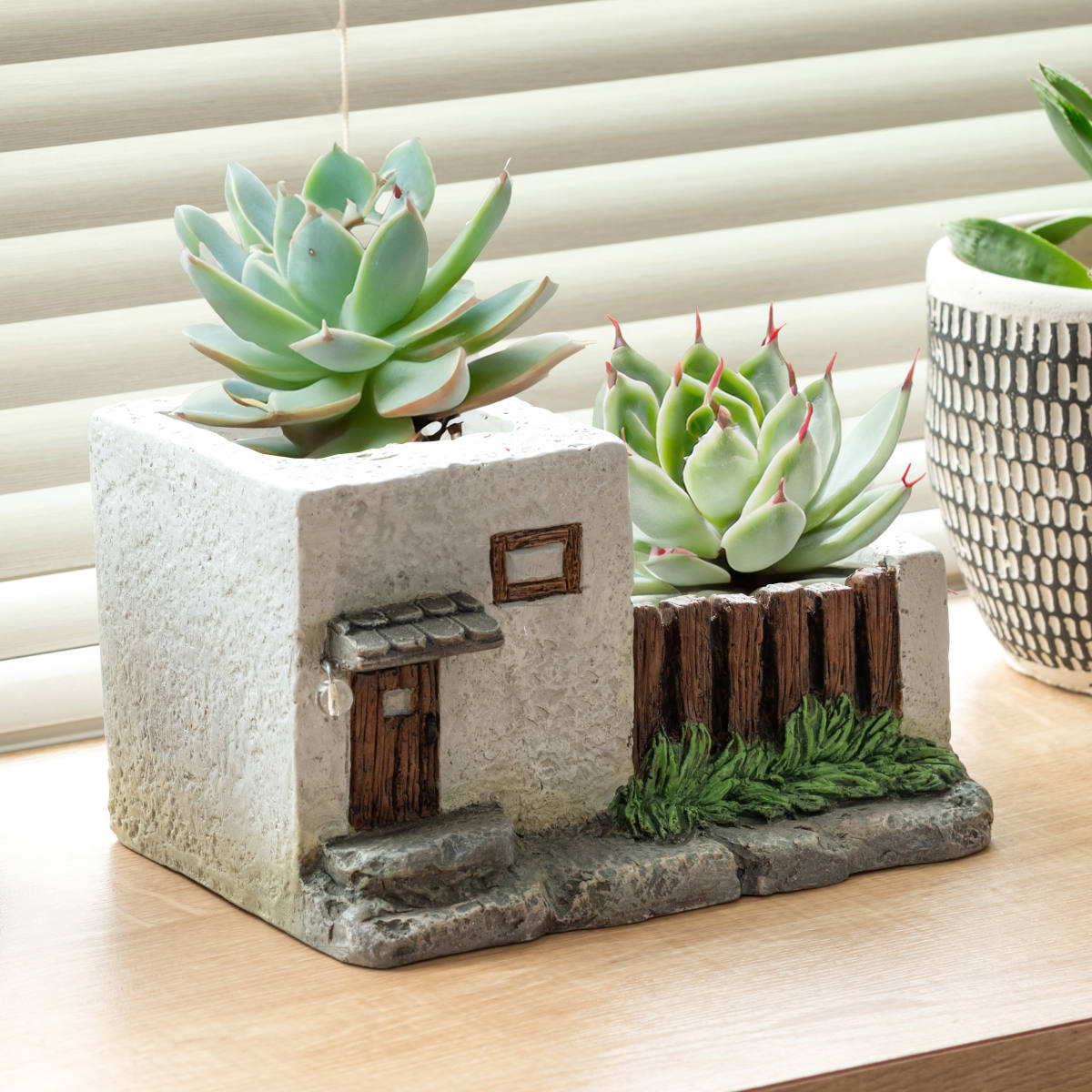 楽天市場】鉢 多肉植物 寄せ植え 植木鉢 セメント プランター 箱庭