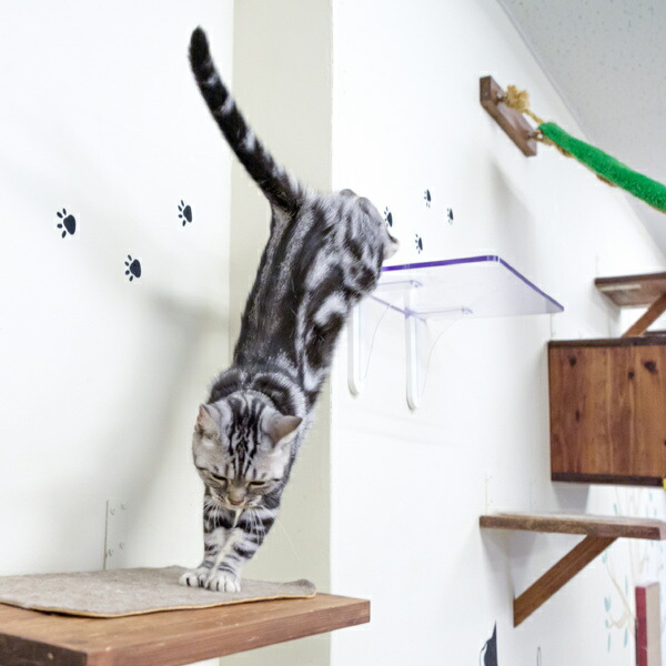 キャットステップ Diy Cat Steps クリア 遊び 透明 運動 壁 ワイドステップ 送料無料 肉球が下から見えるキャットステップ 3枚セット キャットウォーク キャットタワー ネコ ステップ ねこ 猫 壁面取り付け 運動 おもちゃ 遊び 省スペース Diy Diy 棚 おしゃれ 39 キャットステップ Diy Cat Steps クリア 遊び 透明 運動 壁 ワイドステップ 送料無料 肉球が下から見えるキャットステップ 3枚セット キャットウォーク キャットタワー ネコ ステップ ねこ 猫 壁面取り付け 運動 おもちゃ 遊び 省スペース Diy Diy 棚 おしゃれ 39