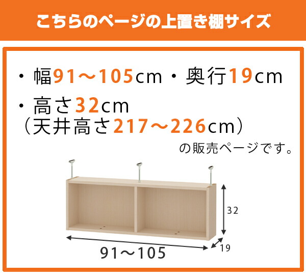 オーダー本棚 幅91 105cm 上置き棚type32 奥行き19cm ワイドタイプ用 漫画収納 オーダー本棚ワイドタイプ用上置き棚を追加して収納力アップ 天井高さ217 226cm 送料無料 収納家具 送料無料 本棚 収納棚 書棚 オーダー 書庫 書籍 ブックシェルフ リビング収納 漫画