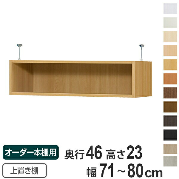 専用 上置き棚 標準尺度棚板 type23 購入注文書物棚 奥ぶかさ46珊 幅71-80珊用 （ 貨物輸送無料 購入注文御手伝いさん 上昇限度つっぱり 書物棚 多役立つこと仕合わせ 空蝉購入注文 ） 【39販売店】 本棚・ラック・カラーボックス-本棚