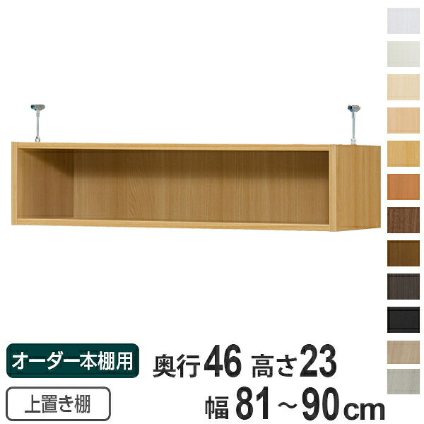 専用 上置き棚 判定基準棚板 type23 購入注文書物棚 奥ふかさ46糎 幅81-90糎用 （ 貨物輸送無料 購入注文お手伝いさん 上昇限度つっぱり 書物棚 多役立つこと仕合わせ 虚蝉購入注文 ） 【39販売店】 収納家具-本棚・ラック・カラーボックス-インテリア・寝具・収納