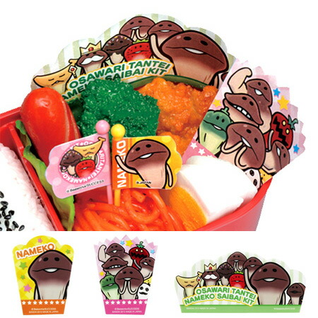 楽天市場 バランセット おさわり探偵なめこ栽培キット キャラクター キャラ弁 バラン お弁当グッズ デコ弁 子供用 39ショップ インテリアパレット