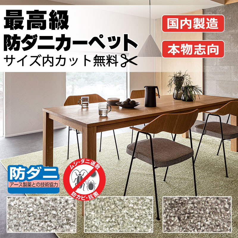 【最大ポイント28倍＋クーポン】カーペット 高級 通販 人にも環境にもやさしい サイズ内カット無料 離島以外 送料無料 アスワン  アスブリンク：BLK
