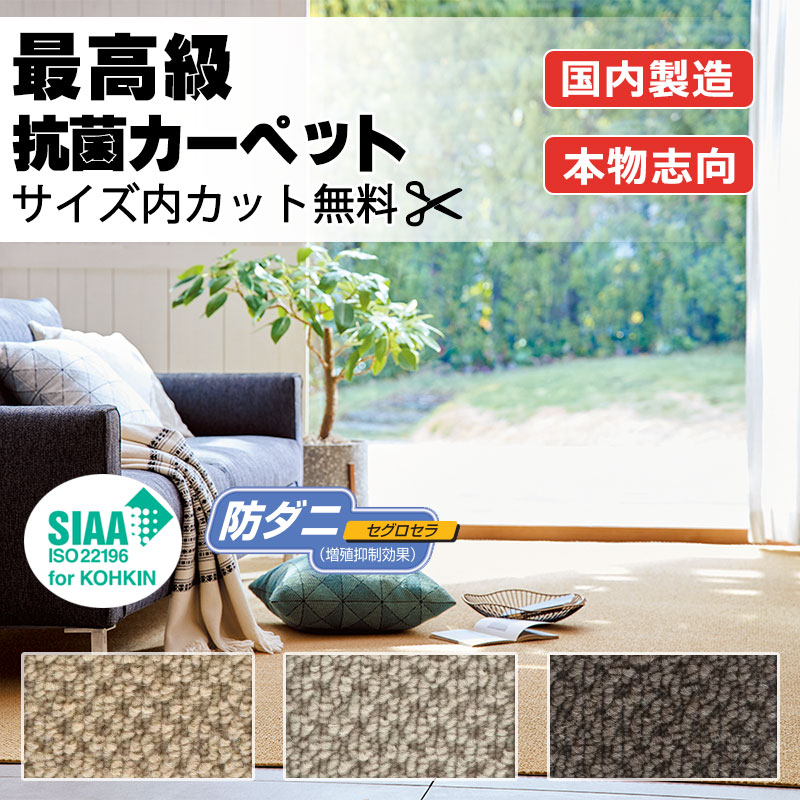 【最大限度尖んがり28倍＋クーポン券】引っ敷き 飛び切り 通信販売 人にも周囲の状況にも分かりやすい 大きさ内とり捨てる無料 離島以外 貨物輸送無料 アスワン  アスボニー：BNI