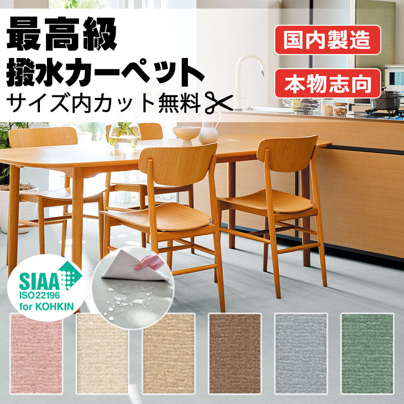 【最大ポイント28倍＋クーポン】カーペット 高級 通販 人にも環境にもやさしい サイズ内カット無料 離島以外 送料無料 アスワン  アスディパー：DIP