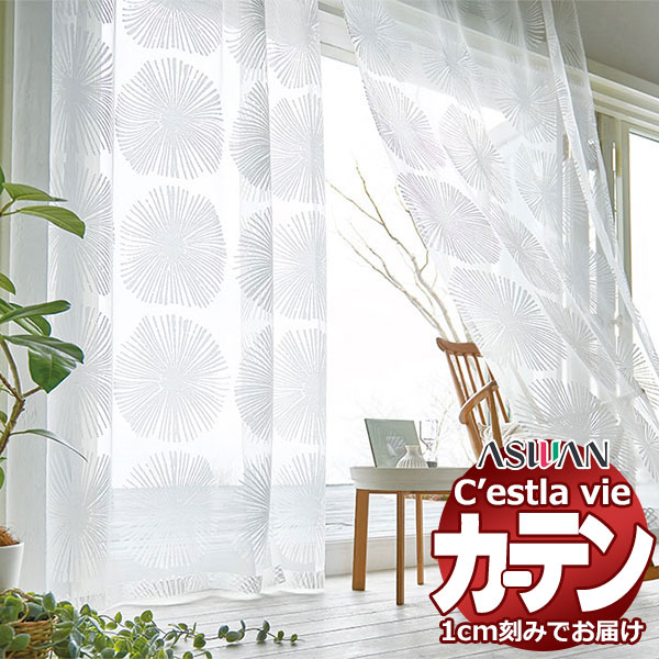 購入注文 引き幕 アスワン セラヴィ C2204 滑っこい仕立てもの 約1倍ヒダなし 幅268×高さ120珊迄