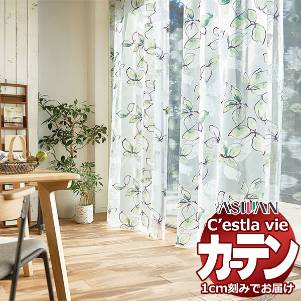 購入注文 引き幕 アスワン セラヴィ C2206 滑っこい仕立てもの 約1倍ヒダなし 幅268×高さ180珊迄