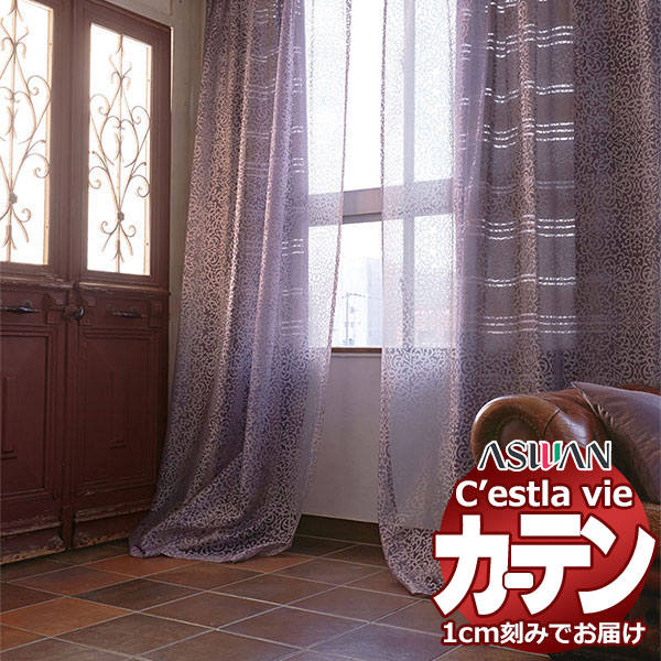 購入注文 引き幕 アスワン セラヴィ C2207～2208 滑っこい仕立てもの 約1倍ヒダなし 幅268×高さ220珊迄