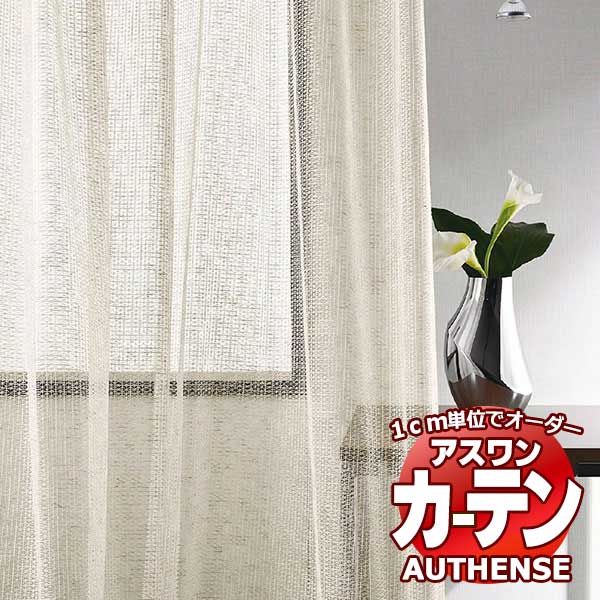 【最大限度尖んがり23倍＋クーポン券】アスワン 購入注文窓かけ オー感性 ソラレード / C1393 ご機嫌品位仕立てもの 約1.5倍 幅592x高さ200糎まで